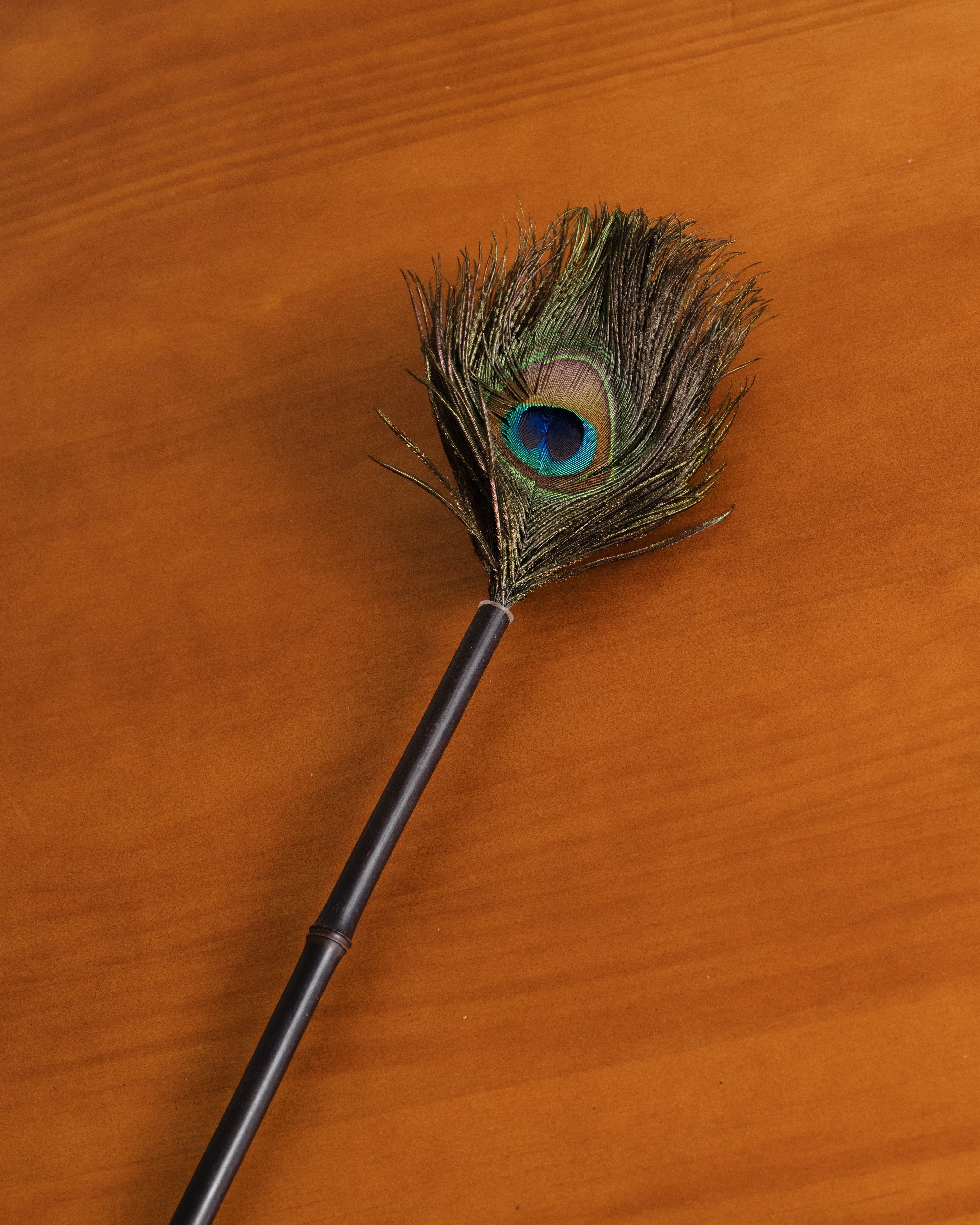 Peacock Feather Duster with Bamboo Handle