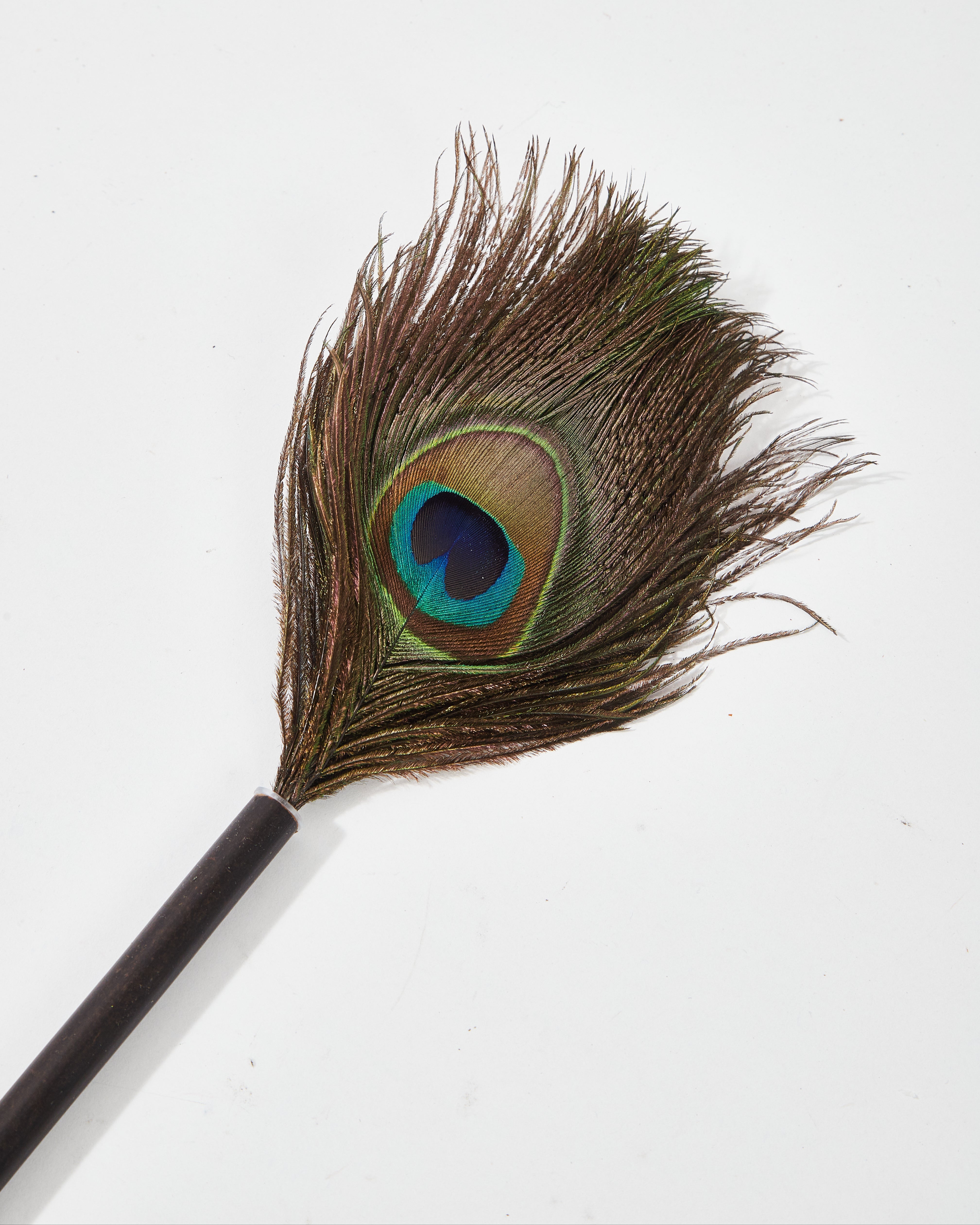 Peacock Feather Duster with Bamboo Handle